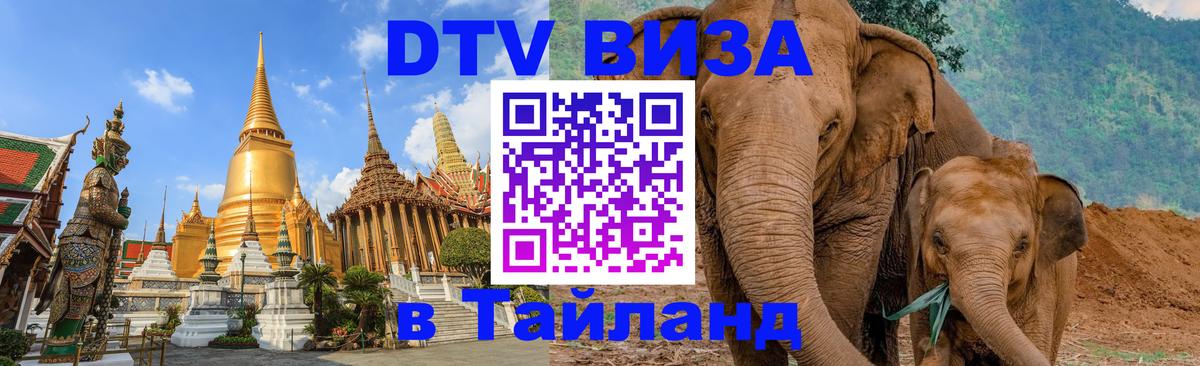 Долгосрочная виза DTV в Тайланд Майкоп 